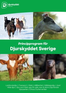 Framsida för Djurskyddet Sveriges principprogram. Består av 4 bilder på 4 olika djurslag. Häst, hund, ko, mink